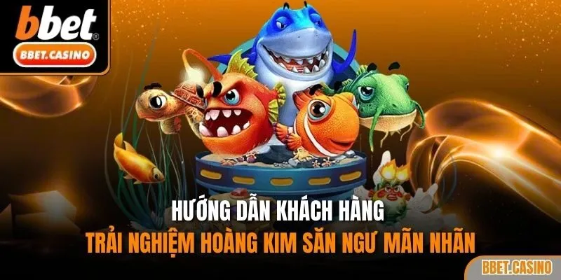 Hướng dẫn khách hàng trải nghiệm Hoàng Kim săn ngư mãn nhãn
