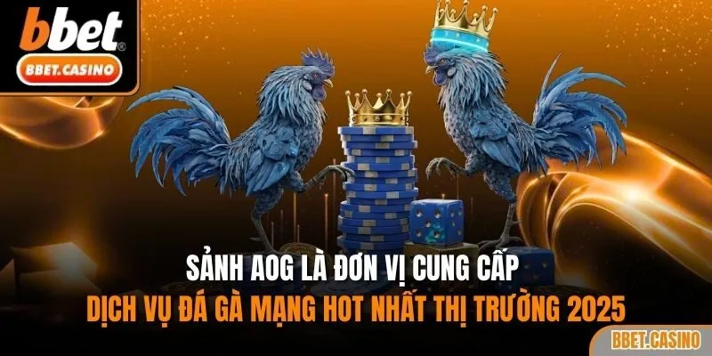 Sảnh AOG là đơn vị cung cấp dịch vụ đá gà mạng hot nhất thị trường 2025